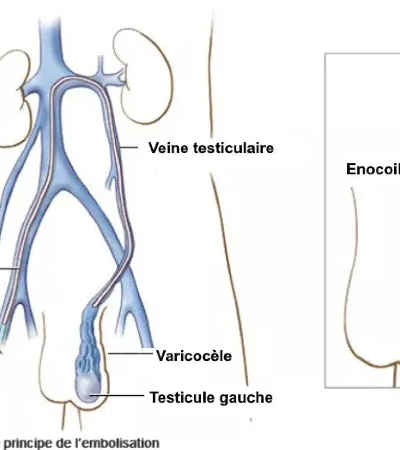 1759d7_649843f17cf846a28952022d1817ed1a~mv2