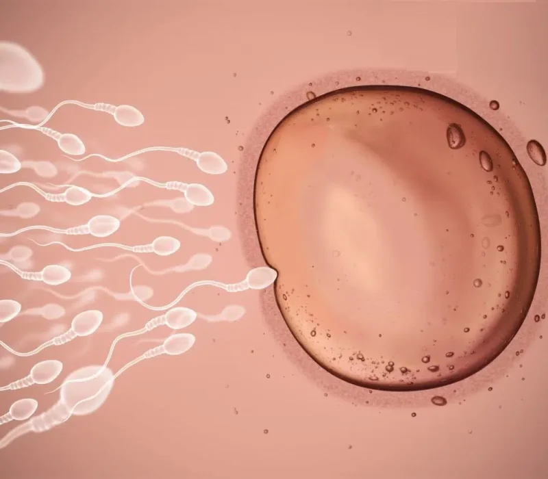 infertilite-masculine-tunisie