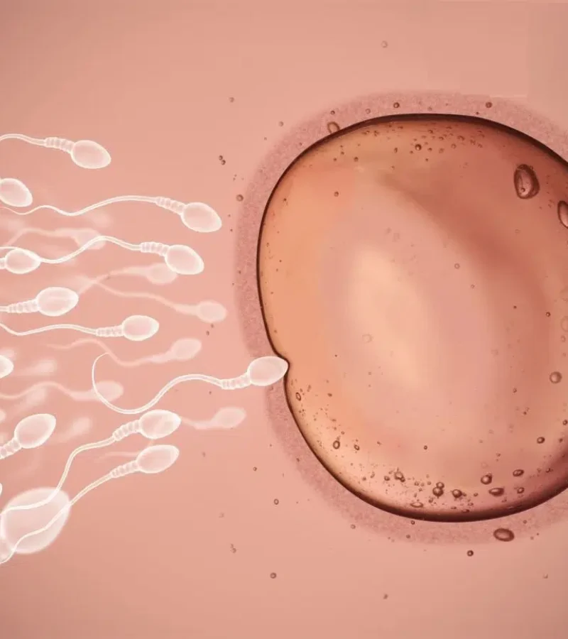 infertilite-masculine-tunisie